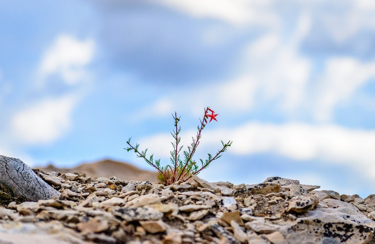 ایجاد تاب آوریBuilding Resilience