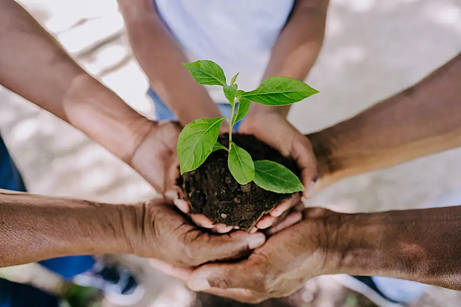 Social Work and Environmental Justice