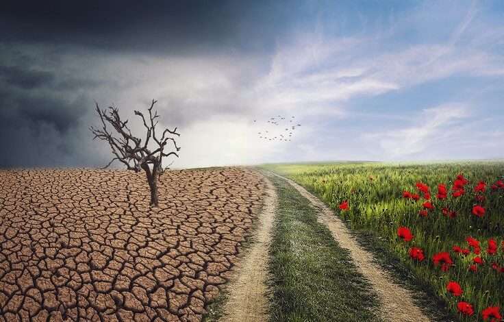 دیده شدن یا استیصال؟ نگاهی به پویش‌ها و همایش‌ها