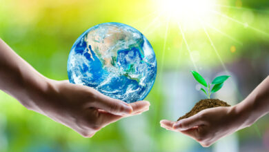 راهکارهای مبتنی بر طبیعت و تابآوری اقلیمی