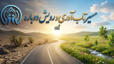 مسیر تاب آوری و رویش دوباره